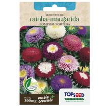 Sementes de Rainha Margarida Pompom Sortida TOPSEED Sementes de Rainha Margarida Pompom Sortida TOPSEED