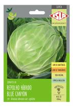 Sementes de Repolho Hibrido Blue Canyon Env C/ 800MG