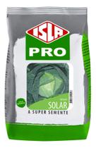 Sementes de Repolho Solar Pac C/ 500gr de Sementes