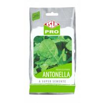 Sementes de Rúcula Antonella Cultivada (50g) ISLA Sementes de Rúcula Antonella Cultivada (50g) ISLA