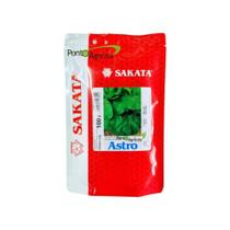 Sementes De Rúcula Astro folha larga 100 gramas Sakata