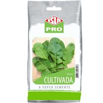 Sementes de Rúcula Cultivada (50g) ISLA