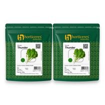 Sementes de Rúcula Thunder Horticeres 200g Sabor Marcante Para Saladas