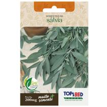 Sementes de Sálvia TOPSEED