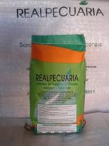 Sementes De Sansão Do Campo 500 Gr Sementes De Sansão Do Campo 500 Gr