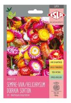 Sementes de Sempre-Viva Helichrysum Dobrada Sortida Envelope c/ 900mg Sementes de Sempre-Viva Helichrysum Dobrada Sortida Envelope c/ 900mg