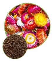 Sementes De Sempre Viva /helichrysum Sortida 900mg Sementes De Sempre Viva /helichrysum Sortida 900mg