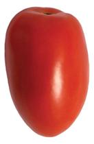 Sementes de Tomate Anjico Cartela C/ 50 Sementes Sementes de Tomate Anjico Cartela C/ 50 Sementes