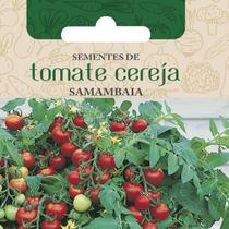 Sementes de tomate cereja samambaia saladas cozinhas temperos 9 pacotes