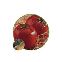 Sementes De Tomate Cruz Kada 400mg Sementes De Tomate Cruz Kada 400mg