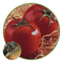 Sementes De Tomate Cruz Kada 400mg Sementes De Tomate Cruz Kada 400mg