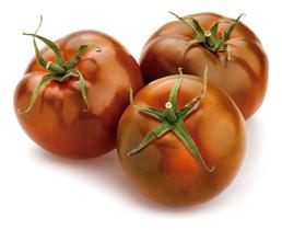 Sementes de Tomate Diamante Negro 1grama - Excelente Cultivo Sementes de Tomate Diamante Negro 1grama - Excelente Cultivo