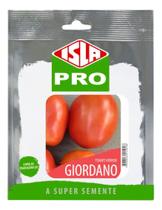 Sementes de Tomate Giordano Deter Cartela C/ 100 Sementes