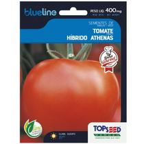 Sementes de Tomate Hibrido Athenas Blueline TOPSEED Sementes de Tomate Hibrido Athenas Blueline TOPSEED