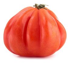 Sementes de Tomate Hibrido Pera Seneca 20 Sementes