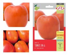 Sementes de Tomate Ipa 6 Deter Env C/ 3gr de Sementes