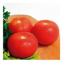 Sementes de Tomate kaicara Cartela c/ 5000 Sementes Sementes de Tomate kaicara Cartela c/ 5000 Sementes