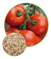 Sementes De Tomate Rasteiro Rio Grande 3g