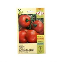 Sementes de Tomate Rasteiro Rio Grande Deter - Excelente Produtividade - ISLA SEMENTES