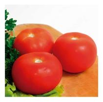 Sementes de Tomate Salada Kaicara 2gr