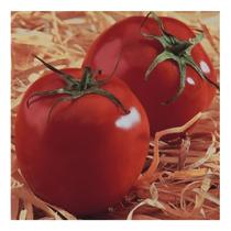Sementes de Tomate Santa Cruz Kada - Env C/ 400mg de Sementes