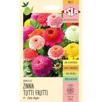 Sementes de Zinnia Tutti-Frutti com 0,3 Gramas - 41723 - ISLA Sementes de Zinnia Tutti-Frutti com 0,3 Gramas - 41723 - ISLA