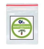 Sementes Do Mamão Vietnamita Kaek Dahm Grande Produção 100 unidades