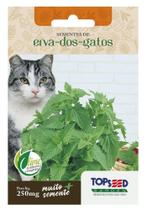 Sementes Erva Dos Gatos (Nepeta Cataria) Catnip TOPSEED Sementes Erva Dos Gatos (Nepeta Cataria) Catnip TOPSEED