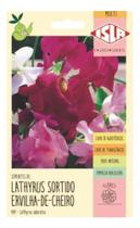 Sementes Ervilha de Cheiro Sortida Lathyrus Env c/ 2gr