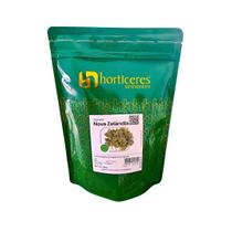 Sementes Espinafre Nova Zelândia 200g Horticeres Resiste Calor Cíclo Rápido Sementes Espinafre Nova Zelândia 200g Horticeres Resiste Calor Cíclo Rápido