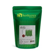 Sementes Feijão Vagem Brutus (rasteira) 1 Kg Horticeres. Sementes Feijão Vagem Brutus (rasteira) 1 Kg Horticeres.