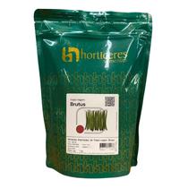 Sementes Feijao Vagem Rasteira Brutus 1kg - HORTICERES