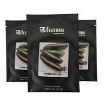 Sementes Feltrin Pepino Gustavo 3000Un Qualidade Profissional para o Campo Sementes Feltrin Pepino Gustavo 3000Un Qualidade Profissional para o Campo