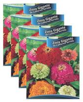 sementes flor em Promoção no Magazine Luiza