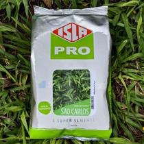 Sementes Grama São Carlos Folha Larga Isla 500g