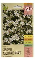 Sementes Gypsofila Elegans Mosquitinho Branco Env c/ 300mg de Sementes