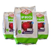 Sementes Isla Beterraba Maravilha 1,5kg Ciclo de 80 a 100 dias após o Plantio Sementes Isla Beterraba Maravilha 1,5kg Ciclo de 80 a 100 dias após o Plantio