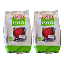 Sementes Isla Beterraba Maravilha 1kg Ciclo de 80 a 100 dias após o Plantio Sementes Isla Beterraba Maravilha 1kg Ciclo de 80 a 100 dias após o Plantio