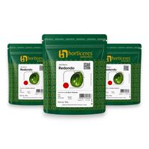 Sementes Jiló Tradicional Horticeres 300g Variedade Comercial Aprovada