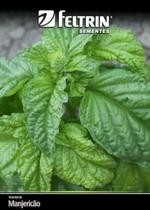 Sementes Manjericao Dante(Albahaca Basil) - contém 100 miligrama Sementes Manjericao Dante(Albahaca Basil) - contém 100 miligrama