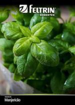 Sementes Manjericao Sabory - contém 100 miligrama(s) Sementes Manjericao Sabory - contém 100 miligrama(s)