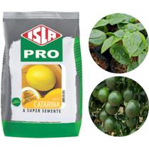 Sementes Maracujá Catarina / Scs 437 / Epagri / 100 G / 4.000 UNIDADES Sementes Maracujá Catarina / Scs 437 / Epagri / 100 G / 4.000 UNIDADES