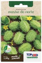Sementes Maxixe Do Norte TOPSEED