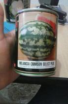 Sementes Melância Crimson Sweet Feltrin 50 g Sementes Melância Crimson Sweet Feltrin 50 g