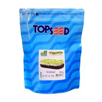 Sementes Microverde Rúcula Veloster (500g) TOPSEED Sementes Microverde Rúcula Veloster (500g) TOPSEED