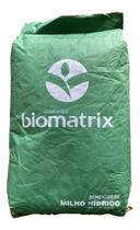 Sementes milho hibrido bm904 20kg - BIOMATRIX