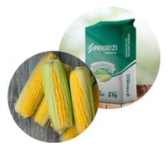 Sementes Milho Híbrido PR 3350 Saboroso PAC C/ 5kg de Sementes Sementes Milho Híbrido PR 3350 Saboroso PAC C/ 5kg de Sementes