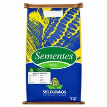 Sementes Milho Selegrão RG01 Híbrido 5 Kg - Silagem Sementes Milho Selegrão RG01 Híbrido 5 Kg - Silagem