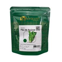Sementes para Horta - Almeirão Pão de Açúcar 100g Horticeres - Fácil Cultivo Sementes para Horta - Almeirão Pão de Açúcar 100g Horticeres - Fácil Cultivo