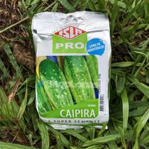Sementes Pepino Caipira Isla 50g Kit 2 Un